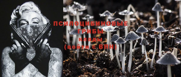 PSILOCYBIN Армянск